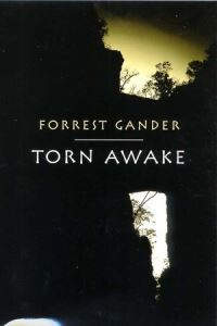 Book Cover for Torn Awake by Forrest Gander