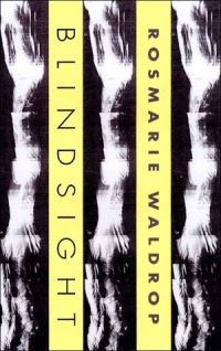 Book Cover for Blindsight by Rosmarie Waldrop