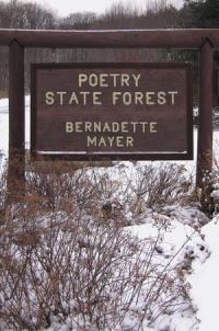 Book Cover for Poetry State Forest by Bernadette Mayer