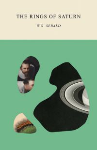 Book Cover for The Rings of Saturn by W G Sebald