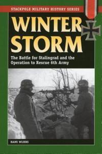 Book Cover for Winter Storm by Hans J Wijers