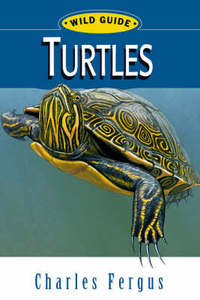 Book Cover for Turtles by Charles Fergus