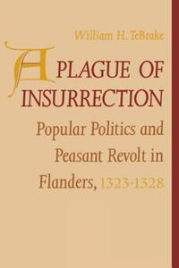 Book Cover for A Plague of Insurrection by William H. TeBrake