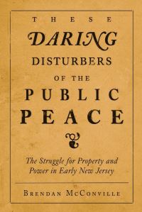 Book Cover for These Daring Disturbers of the Public Peace by Brendan McConville