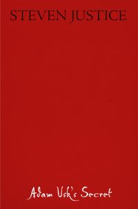 Book Cover for Adam Usk's Secret by Steven Justice
