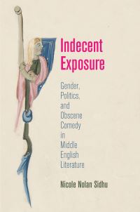 Book Cover for Indecent Exposure by Nicole Nolan Sidhu