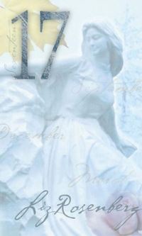 Book Cover for Seventeen by Liz Rosenberg