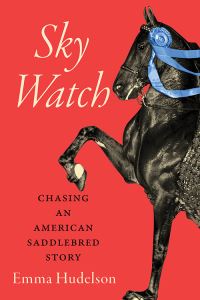 Book Cover for Sky Watch by Emma Hudelson