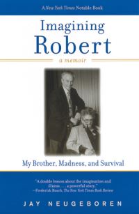 Book Cover for Imagining Robert by Jay Neugeboren