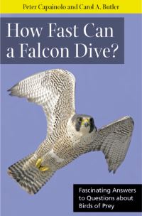 Book Cover for How Fast Can a Falcon Dive? by Peter Capainolo, Carol A Butler