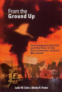 Book Cover for From the Ground Up by Luke W Cole, Sheila R Foster