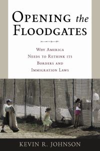 Book Cover for Opening the Floodgates by Kevin R Johnson