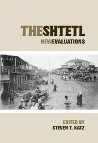 Book Cover for The Shtetl by Steven T Katz