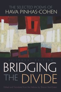 Book Cover for Bridging the Divide by Sharon HartGreen, Sharon HartGreen