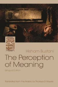 Book Cover for The Perception of Meaning by Hisham Bustani