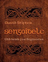 Book Cover for Sengoidelc by David Stifter