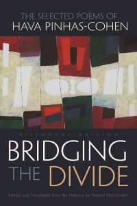 Book Cover for Bridging the Divide by Chava PinchasCohen