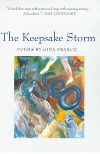 Book Cover for The Keepsake Storm by Gina L Franco