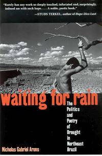 Book Cover for Waiting for Rain by Nicholas Gabriel Arons