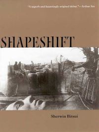 Book Cover for Shapeshift by Sherwin Bitsui