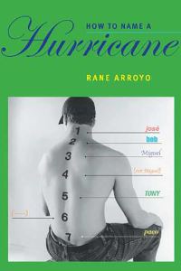 Book Cover for How to Name a Hurricane by Rane Arroyo