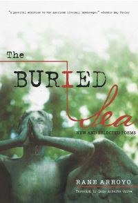 Book Cover for The Buried Sea by Rane Arroyo