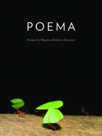 Book Cover for Poema by Maurice Kilwein Guevara