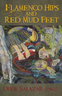 Book Cover for Flamenco Hips and Red Mud Feet by Dixie Salazar
