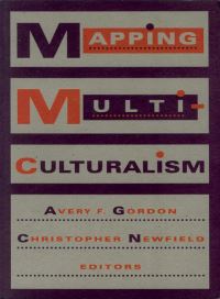 Book Cover for Mapping Multiculturalism by Avery F Gordon