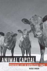 Book Cover for Animal Capital by Nicole Shukin