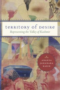 Book Cover for Territory of Desire by Ananya Jahanara Kabir