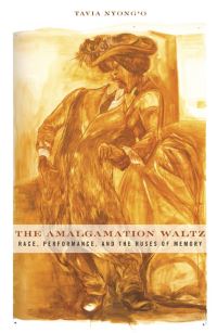 Book Cover for The Amalgamation Waltz by Tavia Amolo Ochieng Nyongó
