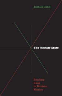 Book Cover for The Mestizo State by Joshua Lund
