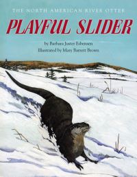 Book Cover for Playful Slider by Barbara Juster Esbensen, Mary Barrett Brown
