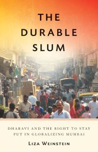 Book Cover for The Durable Slum by Liza Weinstein