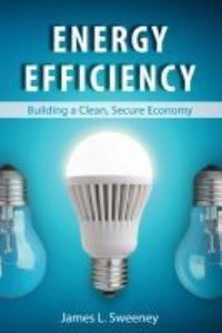 Book Cover for Energy Efficiency by James L Sweeney