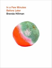 Book Cover for In a Few Minutes Before Later by Brenda Hillman