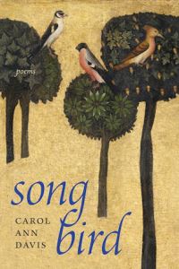 Book Cover for Songbird by Carol Ann Davis