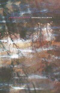 Book Cover for Practical Water by Brenda Hillman