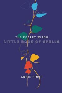 Book Cover for The Poetry Witch by Annie Finch