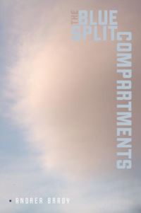 Book Cover for The Blue Split Compartments by Andrea Brady