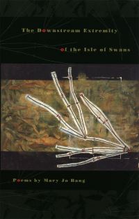 Book Cover for The Downstream Extremity of the Isle of Swans by Mary Jo Bang