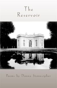 Book Cover for The Reservoir by Donna Stonecipher