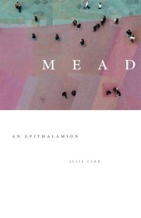 Book Cover for Mead by Julie Carr