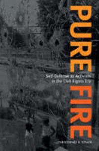 Book Cover for Pure Fire by Christopher B Strain