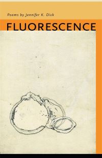 Book Cover for Fluorescence by Jennifer K Dick