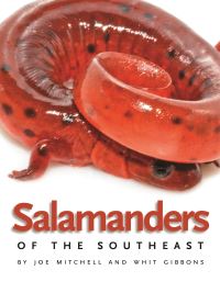 Book Cover for Salamanders of the Southeast by Joseph C Mitchell, Whit Gibbons