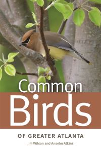 Book Cover for Common Birds of Greater Atlanta by Jim Wilson, Anselm Atkins