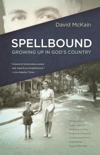 Book Cover for Spellbound by David W McKain