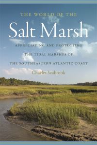 Book Cover for The World of the Salt Marsh by Charles Seabrook